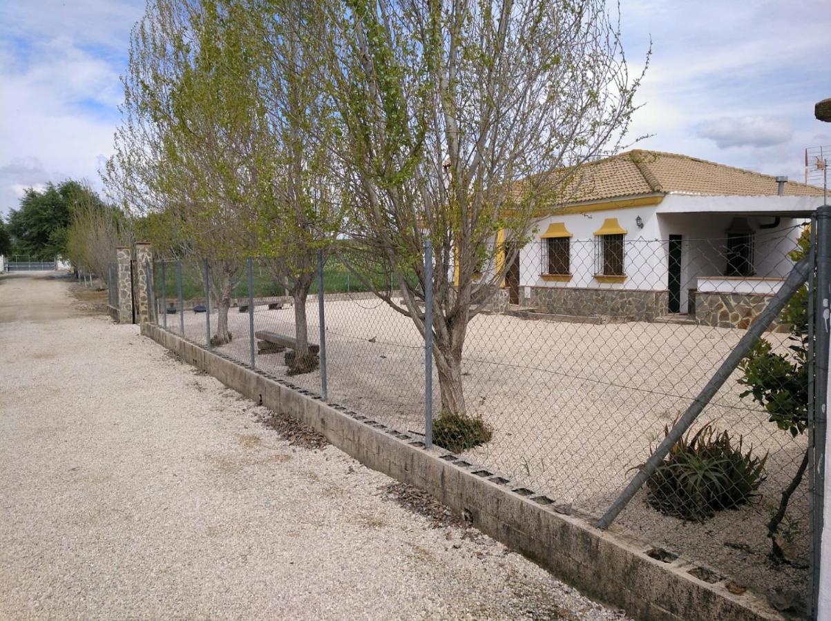 San Nicolas * Algar (Cadiz)